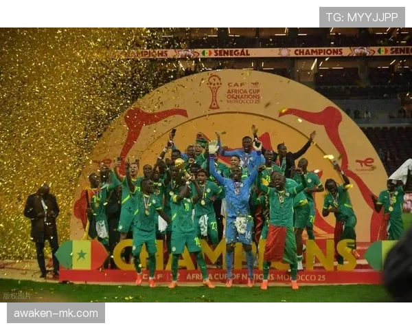 非洲杯决赛回顾:精彩对决展现足球盛宴的激情与荣耀 非洲杯决赛回顾:精彩对决展现足球盛宴的激情与荣耀