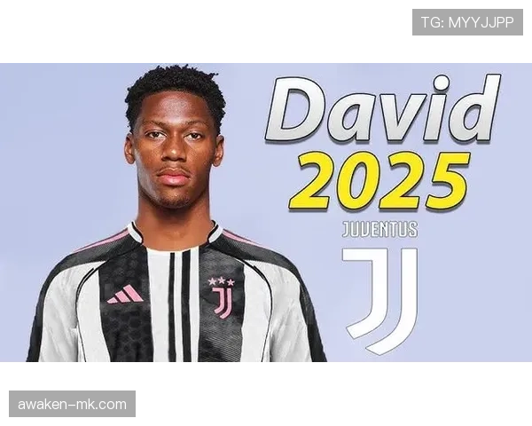 乔纳森·戴维从默默无闻到稳定得分手的进化解析