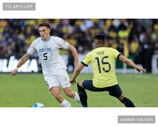 乌拉圭国家队常备中场:乌加特的国家队地位