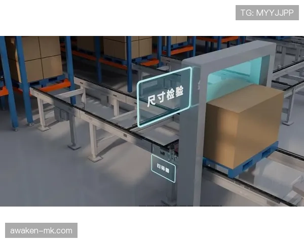 福登的半空间组织与终结能力：机制、效率与角色限制分析