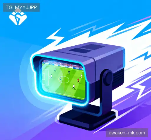 我们的竞争优势